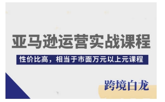 亚马逊运营实战课程,亚马逊从入门到精通,性价比高,相当于市面万元以上元课程-网创星球