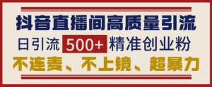 抖音直播间引流创业粉,无需连麦、不用上镜、超暴力,日引流500+高质量精准创业粉-网创星球