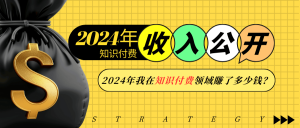 2024年知识付费收入大公开！2024年我在知识付费领域賺了多少钱？-网创星球
