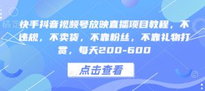 快手抖音视频号放映直播项目教程，不违规，不卖货，不靠粉丝，不靠礼物打赏，每天200-600-网创星球