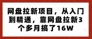 网盘拉新项目，从入门到精通，靠网盘拉新3个多月搞了16W-网创星球