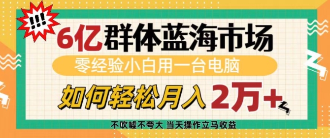6亿群体蓝海市场,零经验小白用一台电脑,如何轻松月入过w【揭秘】-网创星球
