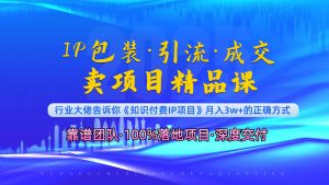 《IP包装·暴力引流·闪电成交卖项目精品课》如何在众多导师中脱颖而出？-网创星球