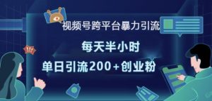 视频号跨平台暴力引流,每天半小时,单日引流200+精准创业粉-网创星球