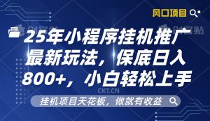 2025年小程序挂机推广最新玩法，保底日入800+，小白轻松上手-网创星球