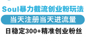Soul暴力截流创业粉玩法，当天注册当天进流量，日稳定300+精准创业粉丝-网创星球