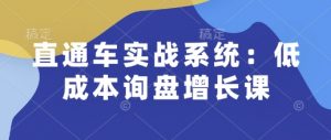 直通车实战系统:低成本询盘增长课,让个人通过技能实现升职加薪,让企业低成本获客,订单源源不断-网创星球