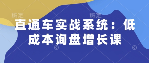 直通车实战系统:低成本询盘增长课,让个人通过技能实现升职加薪,让企业低成本获客,订单源源不断-网创星球