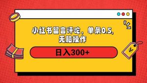 小红书评论单条0.5元，日入300＋，无上限，详细操作流程-网创星球