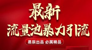 最新“流量池”无门槛暴力引流(全网首发)日引500+-网创星球
