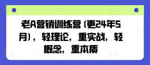 老A营销训练营(更25年1月)，轻理论，重实战，轻概念，重本质-网创星球