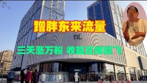 蹭胖东来流量，三天涨万粉，收益直接起飞-网创星球