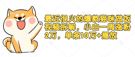 最近很火的爆款猫咪做饭视频拆解，小白一周涨粉2万，单条10万+播放(附保姆级教程)-网创星球