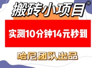 搬砖小项目，实测10分钟14元秒到，每天稳定几张(赠送必看稳定)-网创星球
