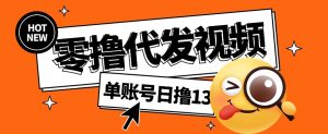 视频代发纯绿色项目，不用剪辑提供素材直接发布，0粉丝也能轻松日入50+-网创星球