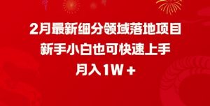 2月最新细分领域落地项目,新手小白也可快速上手,月入1W-网创星球