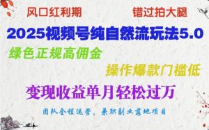 2025视频号纯自然流玩法5.0，绿色正规高佣金，操作爆款门槛低，变现收益单月轻松过万-网创星球