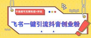 飞书一键引流抖音创业粉,不违规可 无限私信+评论-网创星球