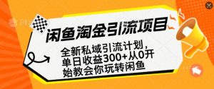 闲鱼淘金私域引流计划，从0开始玩转闲鱼，副业也可以挣到全职的工资-网创星球