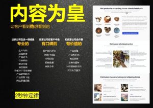 刘老师·外贸询盘增长秘籍从0到1的实战指南-网创星球