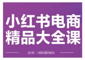 小红书电商精品大全课，快速掌握小红书运营技巧，实现精准引流与爆单目标，轻松玩转小红书电商(更新2月)-网创星球
