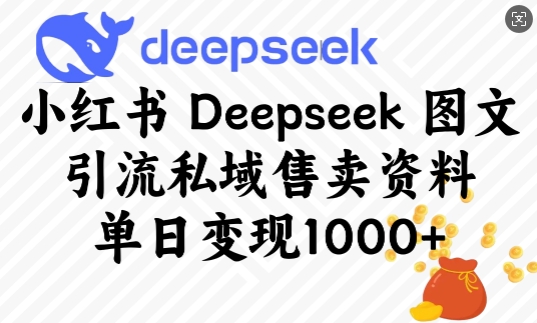小红书Deepseek图文引流私域售卖资料,单日变现多张-网创星球