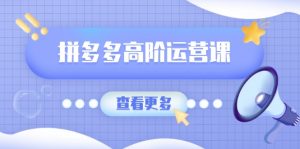 拼多多高阶运营课：极致群爆款玩法，轻付费无尽复制，打造单品爆款之路-网创星球