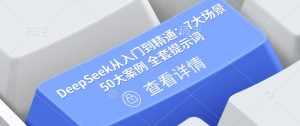 DeepSeek从入门到精通:7大场景 50大案例 全套提示词【文档】-网创星球