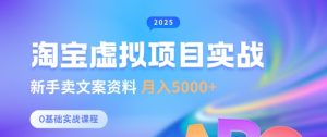 淘宝虚拟项目垂直玩法，新手卖文案资料，月入5k+-网创星球