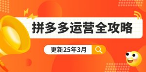 拼多多运营全攻略：从0到日销千单,爆款内功+付费推广+黑科技(更新25年3月-网创星球