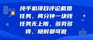 纯手机项目评论截图任务，两分钟一块钱 任务无上限多劳多得，随时随地...-网创星球