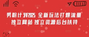 男粉计划2025  全新玩法打爆流量 独立网站 独立资源后台扶持【揭秘】-网创星球