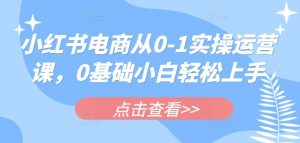 小红书电商从0-1实操运营课，0基础小白轻松上手-网创星球