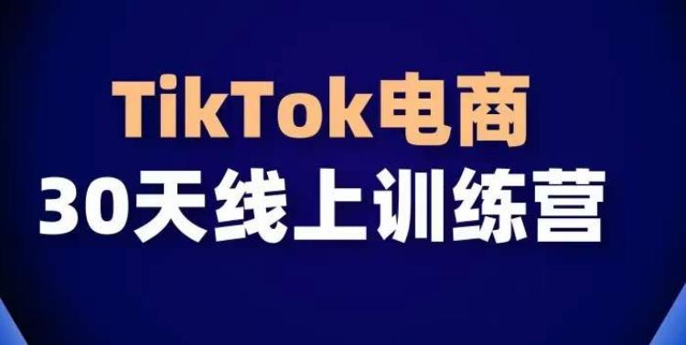 TikTok电商带货30天线上课，不可错过的全球流量洼地！-网创星球