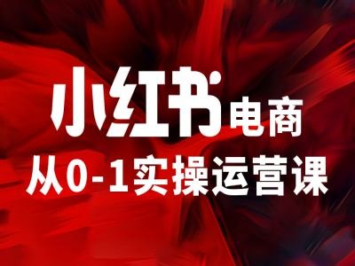 小红书电商从0-1实操运营课，让你从小白到精英-网创星球