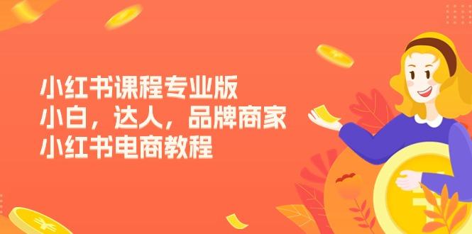 小红书课程专业版，小白，达人，品牌商家，小红书电商教程(15节-网创星球