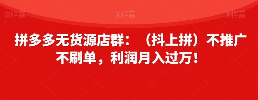 拼多多无货源店群：（抖上拼）不推广不刷单，利润月入过万！【揭秘】-网创星球