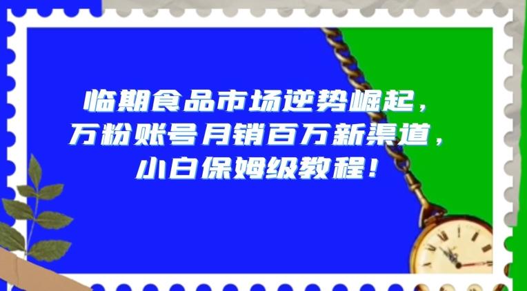 临期食品市场逆势崛起，万粉账号月销百万新渠道，小白保姆级教程【揭秘】-网创星球