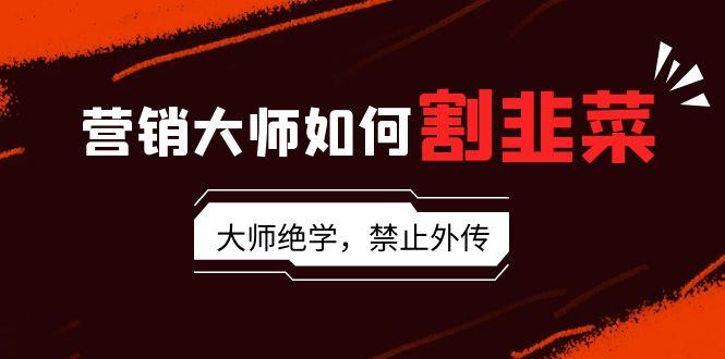 营销大师如何割韭菜：流量大师/讲故事大师/话术大师/卖货大师/成交大师/...-网创星球