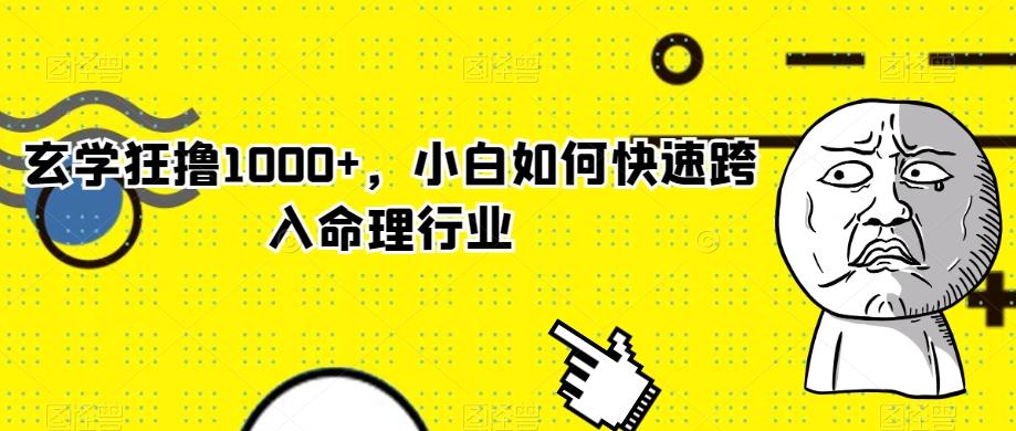 玄学狂撸1000+，小白如何快速跨入命理行业-网创星球