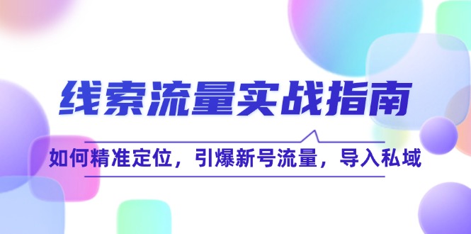 线 索 流 量-实战指南：如何精准定位，引爆新号流量，导入私域-网创星球