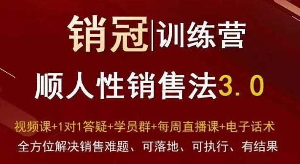 爆款！销冠训练营3.0之顺人性销售法，全方位解决销售难题、可落地、可执行、有结果-网创星球