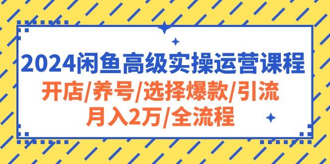 2024闲鱼高级实操运营课程：开店/养号/选择爆款/引流/月入2万/全流程-网创星球