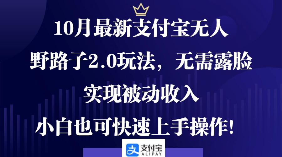10月最新支付宝无人野路子2.0玩法，无需露脸，实现被动收入，小白也可...-网创星球