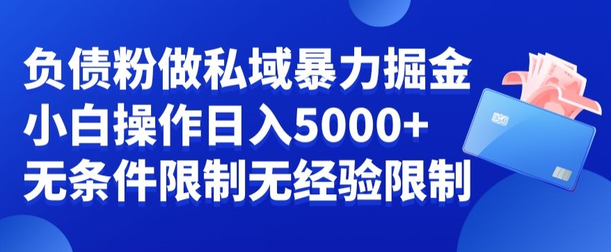 负债粉私域暴力掘金,小白操作入5000,无经验限制,无条件限制【揭秘】