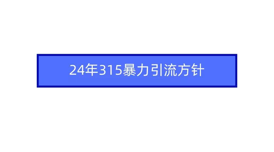 (9398期)2024年315暴力引流方针-网创星球